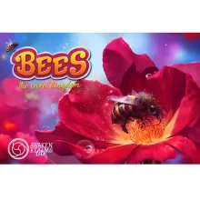 Bees